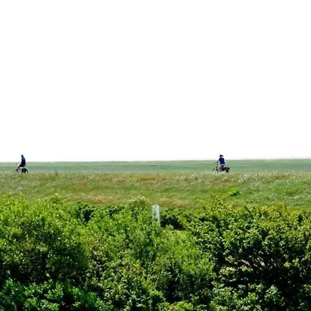 6 Schroeder Id 045 * Sankt Peter-Ording