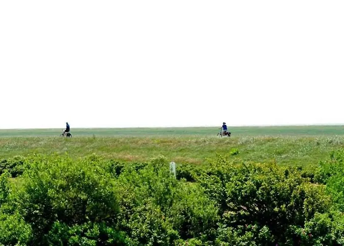 6 Schroeder Id 045 * Sankt Peter-Ording